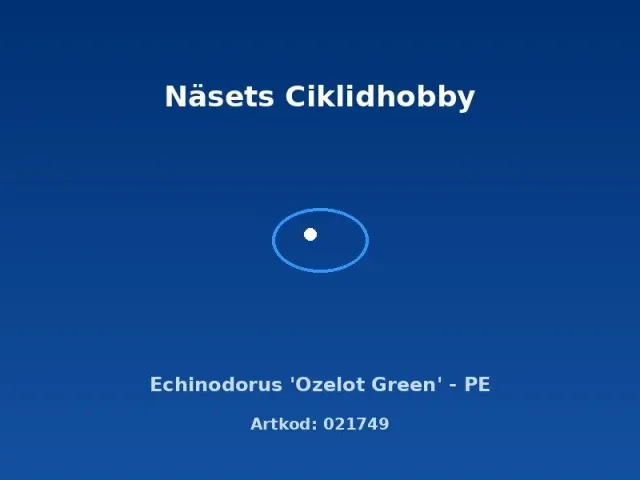 Näsets Ciklidhobby Echinodorus Ozelot Green akvarieväxt PE