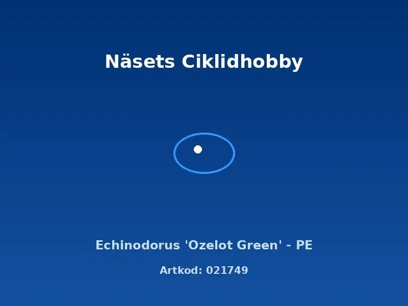 Näsets Ciklidhobby Echinodorus Ozelot Green akvarieväxt PE