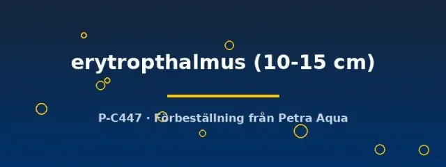 Näsets Ciklidhobby Scardinius erythropthalmus dammfisk 10–15 cm