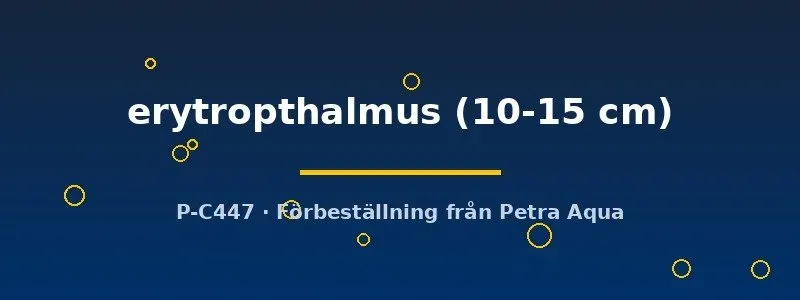 Näsets Ciklidhobby Scardinius erythropthalmus dammfisk 10–15 cm