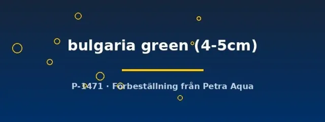 Pterophyllum scalare bulgaria green 4–5 cm skalare