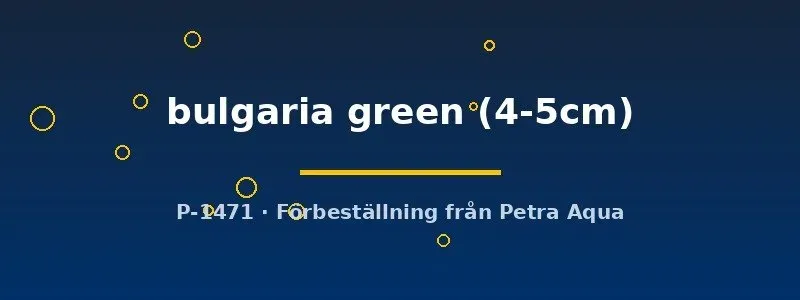 Pterophyllum scalare bulgaria green 4–5 cm skalare