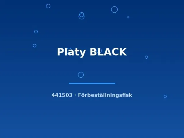Näsets Ciklidhobby Platy Black platy lg svart