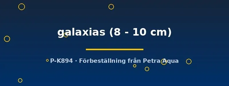 Näsets Ciklidhobby L240 Leporacanthicus galaxias sugmal 8–10 cm