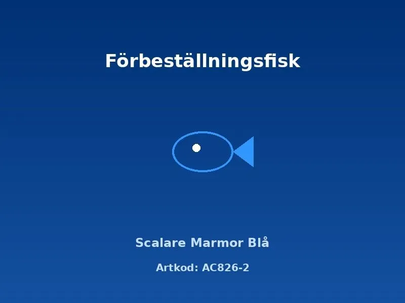 Näsets Ciklidhobby Marble Blue skalar 4 cm marmor blå