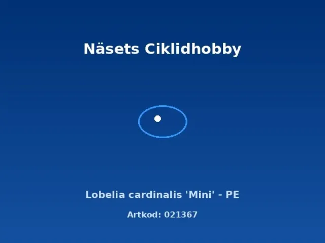 Näsets Ciklidhobby Lobelia cardinalis Mini akvarieväxt PE ljusgrön