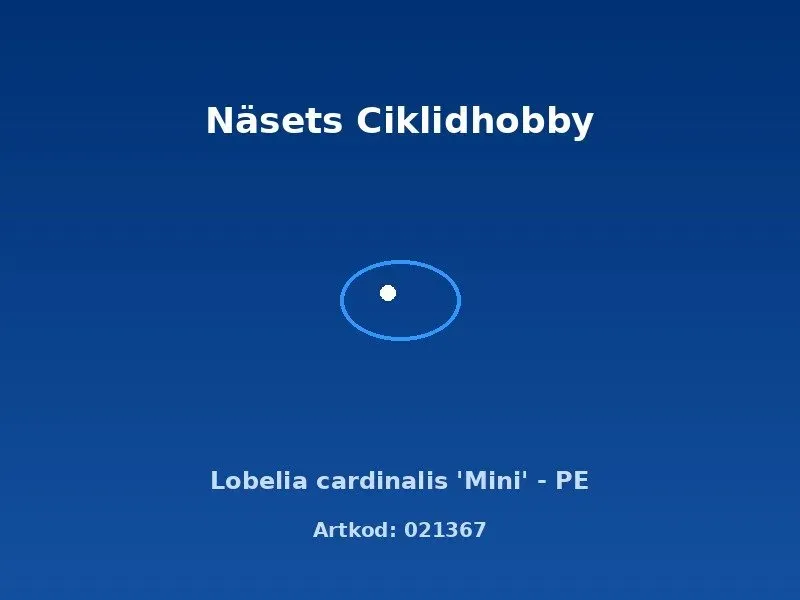 Näsets Ciklidhobby Lobelia cardinalis Mini akvarieväxt PE ljusgrön