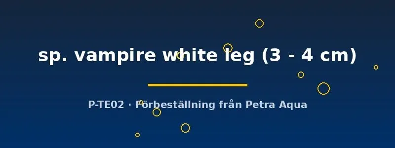 Näsets Ciklidhobby Geosesarma vampire krabba 3–4 cm white leg