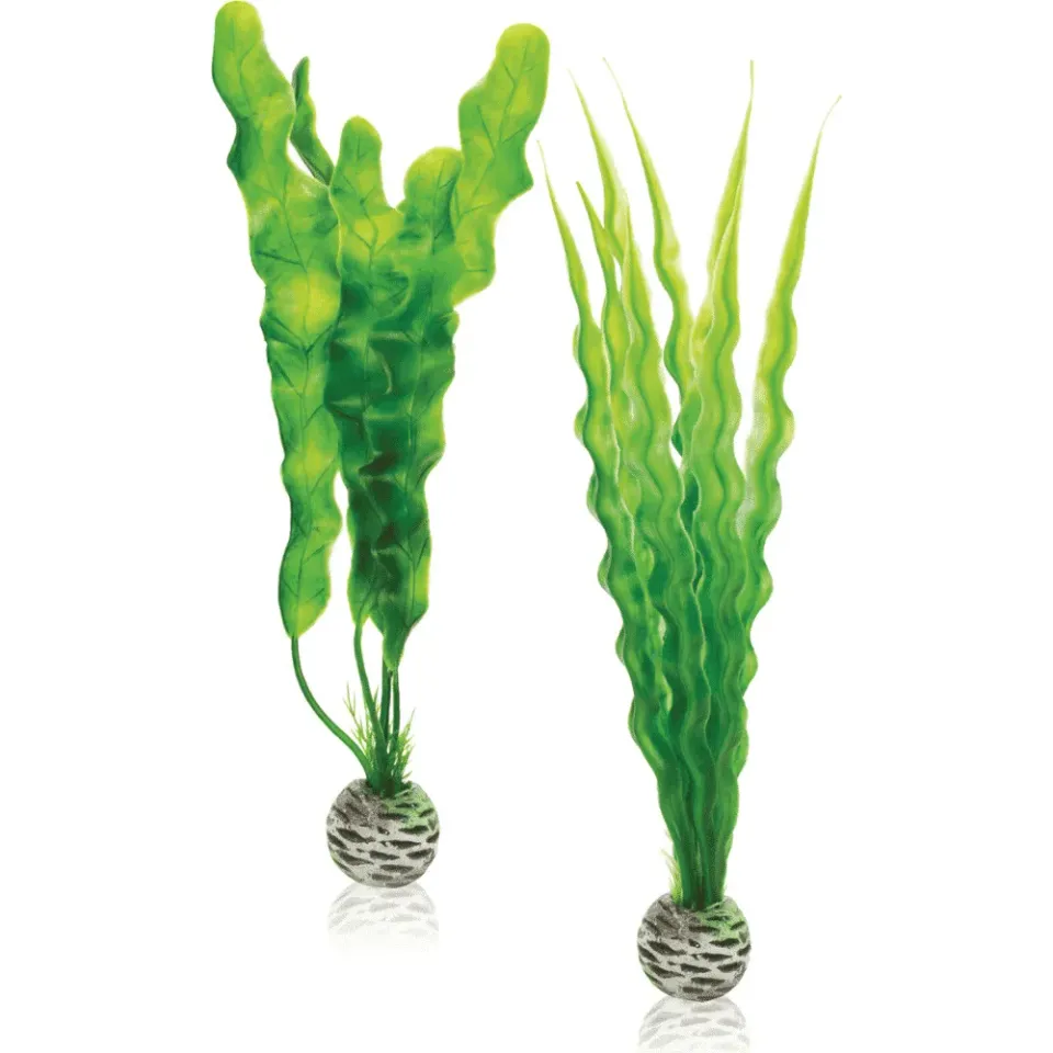biOrb Plant Set M plastväxt grön 2-pack