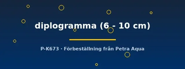 Channa diplogramma rovfisk 6–10 cm ungfisk