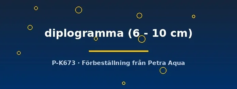 Channa diplogramma rovfisk 6–10 cm ungfisk