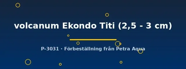 Chromaphyosemion volcanum Ekondo Titi killifisk 2,5–3 cm