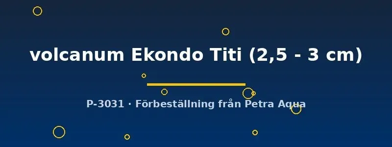 Chromaphyosemion volcanum Ekondo Titi killifisk 2,5–3 cm