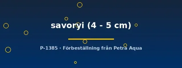 Lamprologus savoryi Tanganyikaciklid 4–5 cm grupp