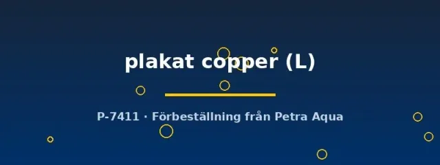 Näsets Ciklidhobby Betta spl plakat copper hane L kampfisk
