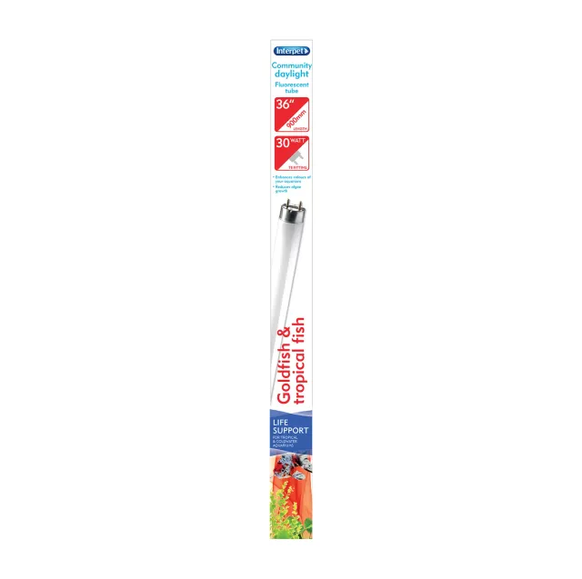 Interpet T8 Community Daylight lysrör 30W 91cm dagsljus