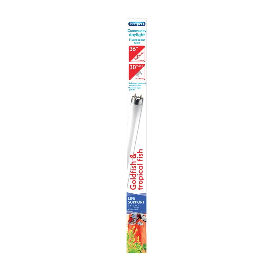 Interpet T8 Community Daylight lysrör 30W 91cm dagsljus