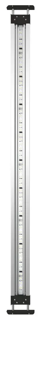Oase MotionControl LED 100 dammbelysning 104 cm