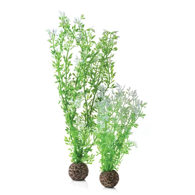 biOrb Winter Flower Plant Set akvarieväxt grön 2-delar