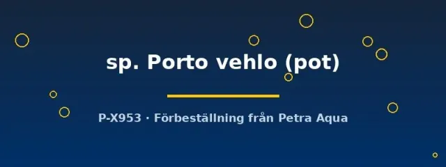 Näsets Ciklidhobby Staurogyne Porto Vehlo akvarieväxt pot