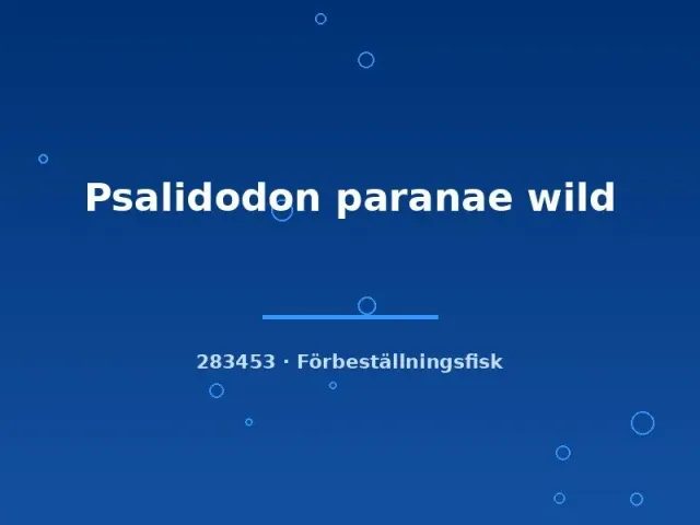 Näsets Ciklidhobby Psalidodon paranae wild tetra 3-6cm