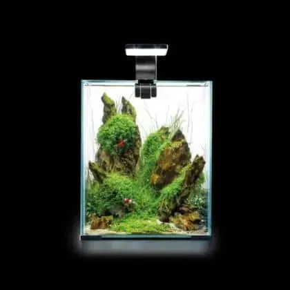 Näsets Shrimp Set Day&Night 30L akvarium svart LED 6W