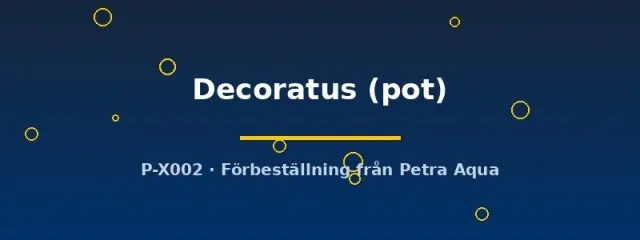 Näsets Acorus Decoratus akvarieväxt kruka grön
