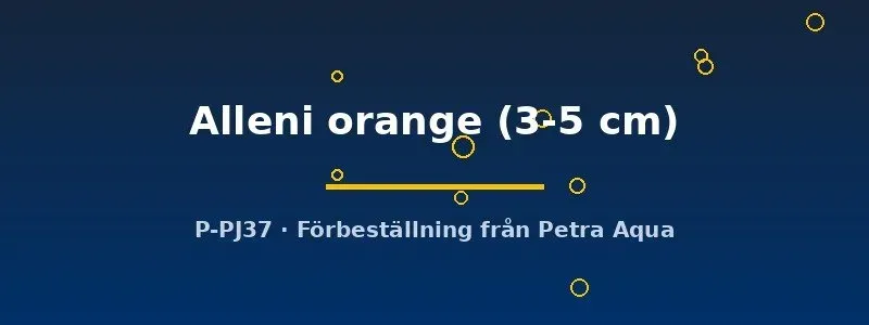 Näsets Alleni orange akvariekräfta 3–5 cm orange
