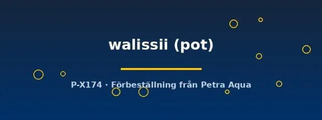 Näsets Ciklidhobby Spatiphyllum wallisii akvarieväxt pot
