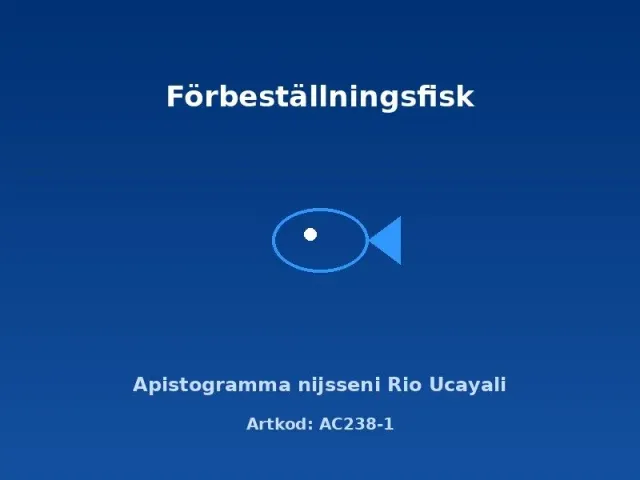 Näsets Ciklidhobby Apistogramma nijsseni Rio Ucayali dvärgciklid