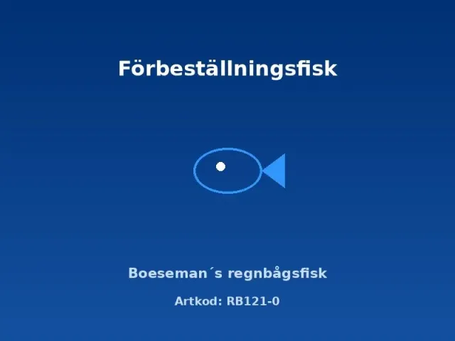 Boesemans regnbågsfisk 3,5–4 cm Melanotaenia boesemani