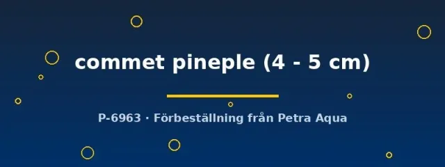 Näsets Comet Pineapple svärdfisk akvariefisk 4–5 cm gul