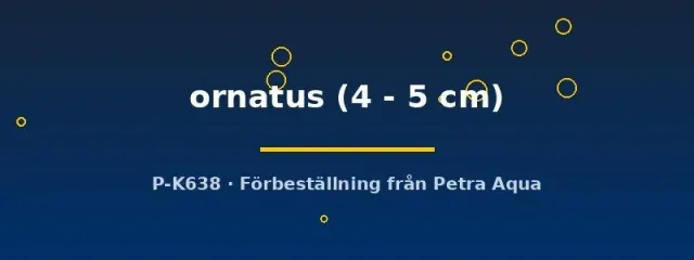 Näsets Pelteobagrus ornatus akvariefisk 4–5 cm mal