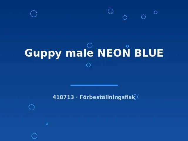 Näsets Ciklidhobby Guppy Male Neon Blue LG akvariefisk hane blå