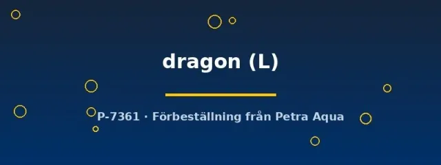 Näsets Ciklidhobby Betta Spl. Female Dragon kampfisk hona L metallfjäll
