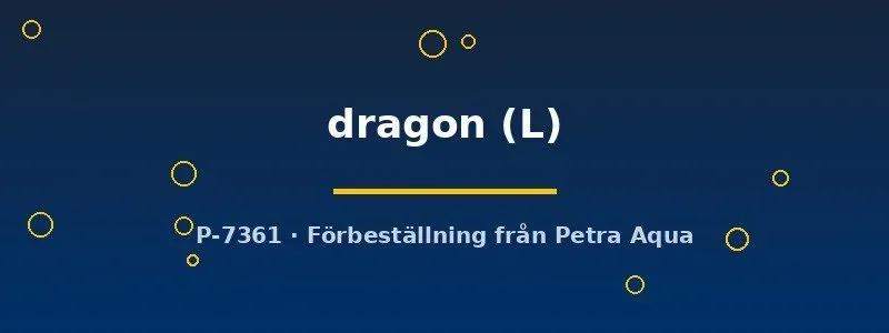 Näsets Ciklidhobby Betta Spl. Female Dragon kampfisk hona L metallfjäll