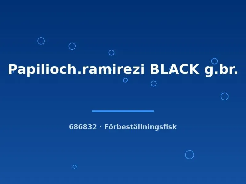 Näsets Ciklidhobby Papiliochromis ramirezi black dvärgciklid 2,5–3 cm