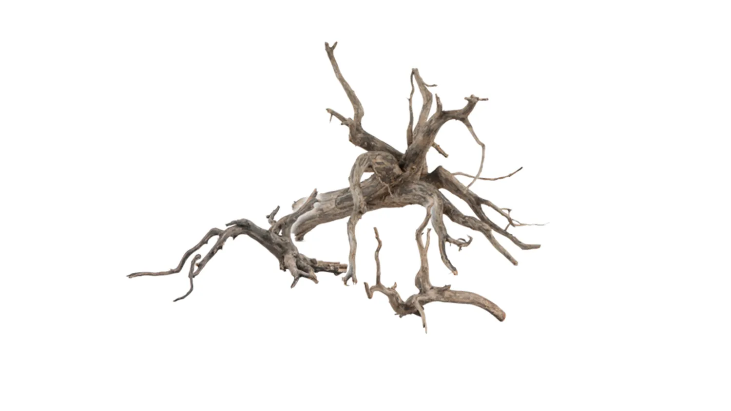 Garnelen TV Scaper Root akvarierot S 25-30 cm mörk