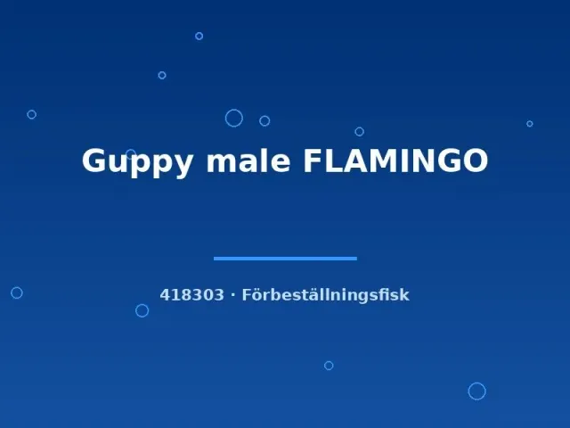Näsets Ciklidhobby Guppy Flamingo lg hane röd akvariefisk