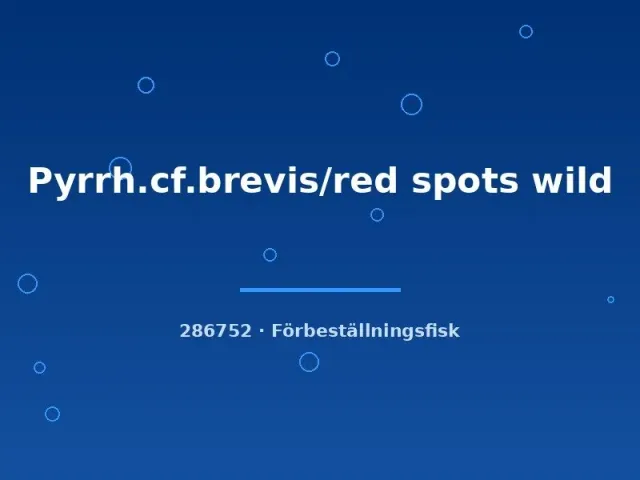 Näsets Pyrrhulina brevis red spots vildfisk md