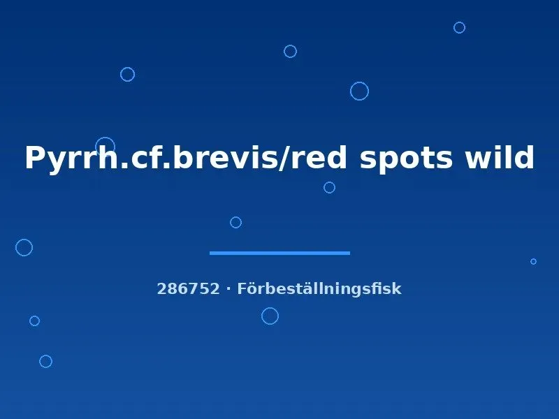 Näsets Pyrrhulina brevis red spots vildfisk md