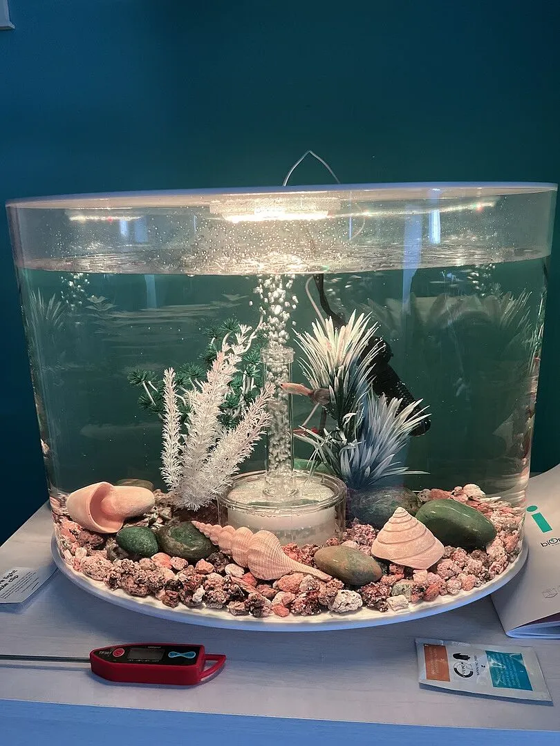 biOrb Loop 30 akvarium 30 liter svart MCR-ljus