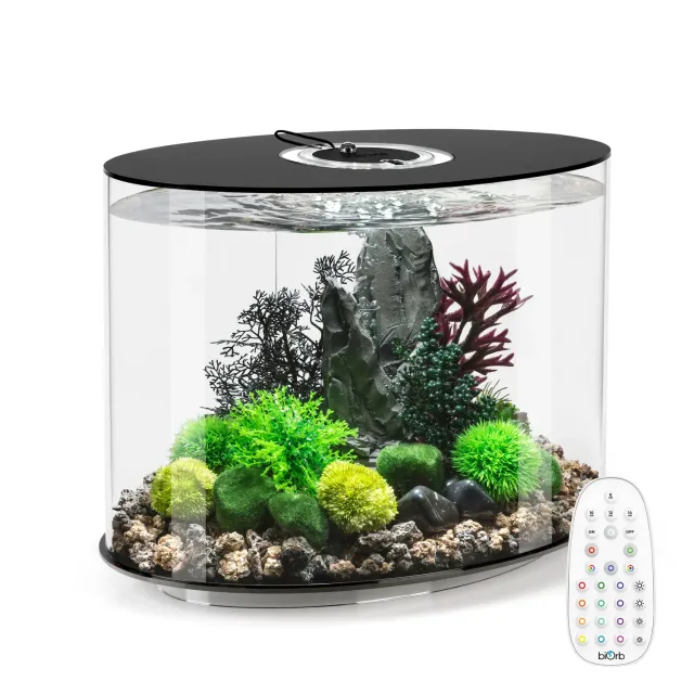 biOrb Loop 30 akvarium 30 liter svart MCR-ljus