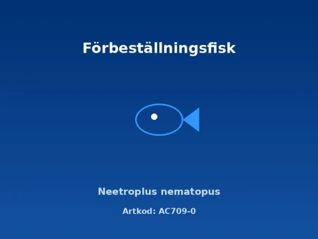 Näsets Ciklidhobby Neetroplus nematopus akvariefisk 3,5-4 cm