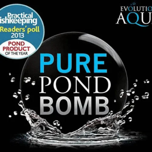 Pond Bomb dammbakterier 500 g gelboll 20000 liter