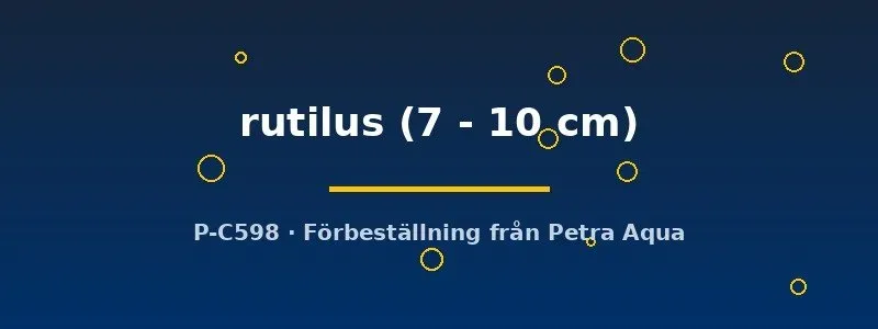 Näsets Ciklidhobby Rutilus rutilus mört 7–10 cm kallvatten