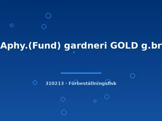 Aphy Fundulopanchus gardneri GOLD akvariefisk lg guld