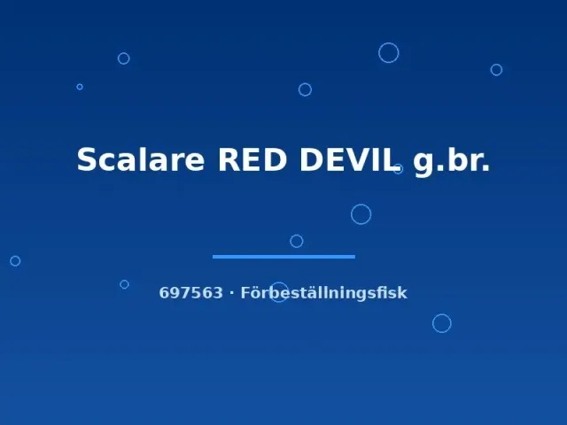 Näsets Ciklidhobby Scalare Red Devil skalär ml röd
