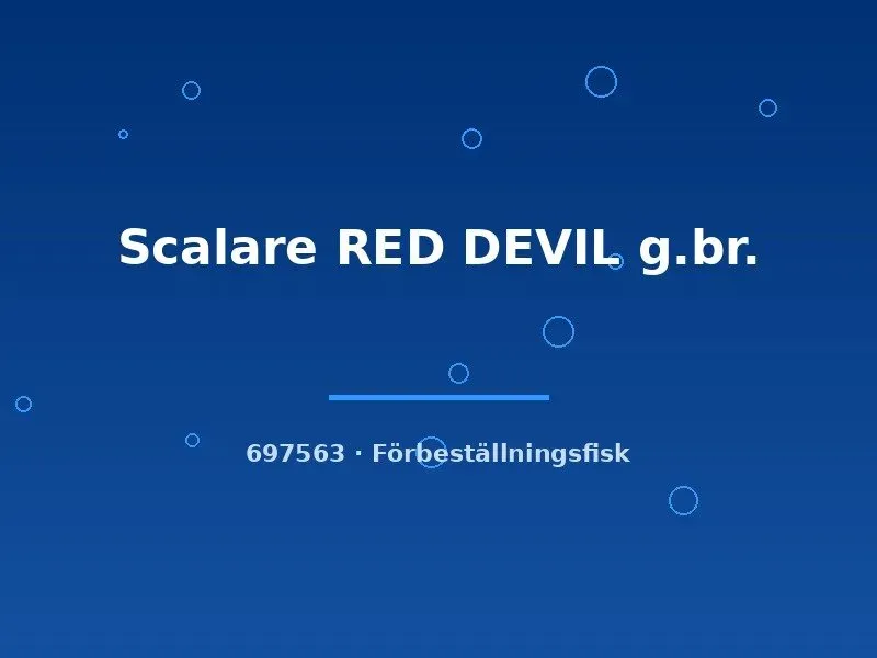 Näsets Ciklidhobby Scalare Red Devil skalär ml röd