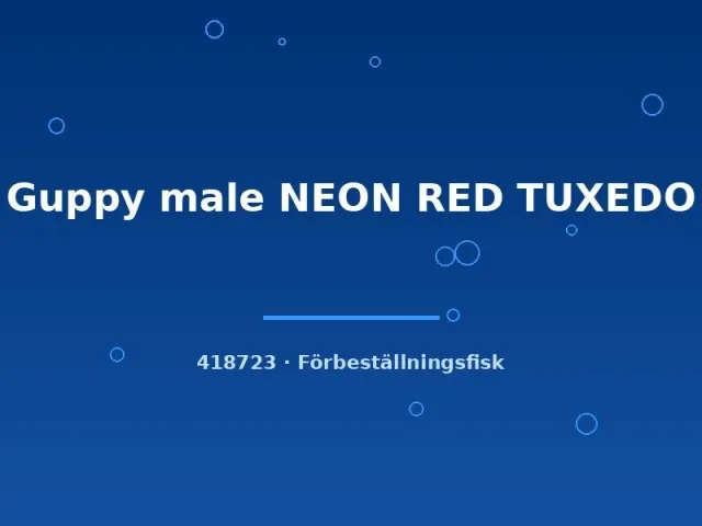 Näsets Ciklidhobby Guppy NEON RED TUXEDO hane lg röd